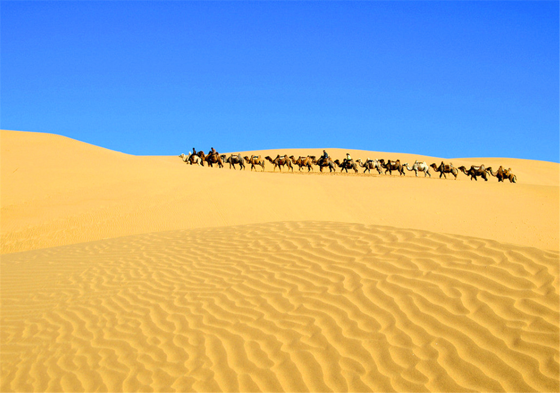 喀什旅游包车骑骆驼.jpg